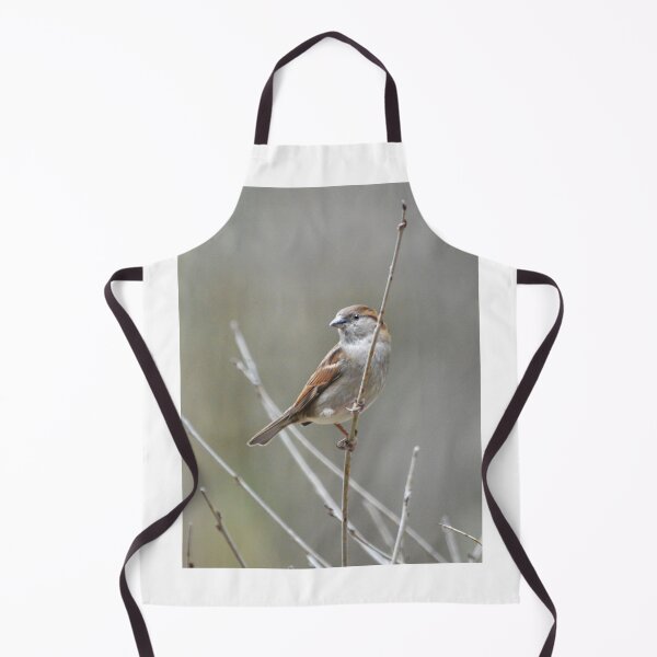 Item preview, Sparrow On Branch designed and sold by Laurie Minor.