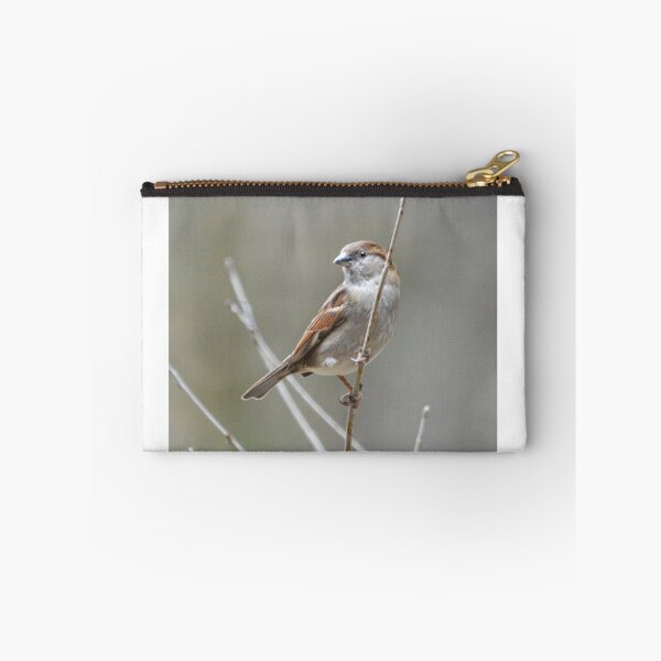Item preview, Sparrow On Branch designed and sold by Laurie Minor.