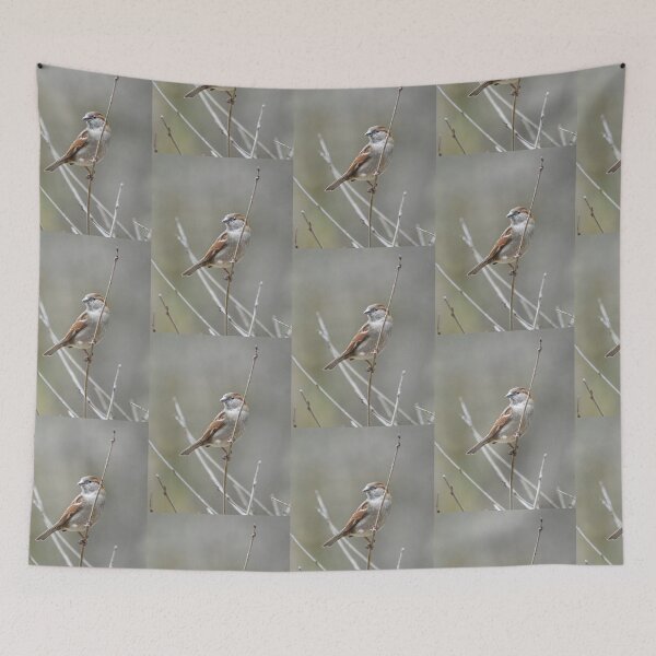 Item preview, Sparrow On Branch designed and sold by Laurie Minor.