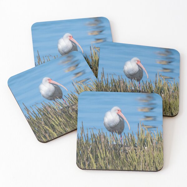 Item preview, Ibis blanco al borde de la Laguna Madre designed and sold by Debra Martz.