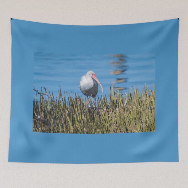 Item preview, White Ibis At The Edge of Laguna Madre designed and sold by Debra Martz.