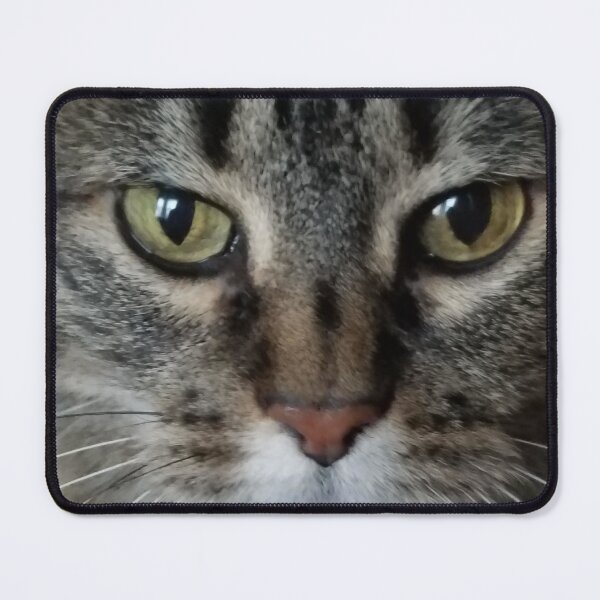 Item preview, Close Up, Kitty. designed and sold by rgrigg84.