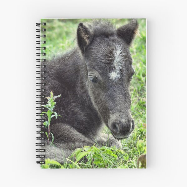 Item preview, Time for Rest  designed and sold by Karen Peron.