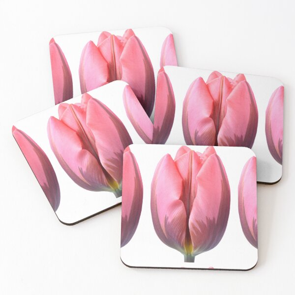 Aperçu de l'œuvre  Tulipa & Jolie Princesse & # 39; Triumph Group Tulipe créée et vendue par Chris Burrows.