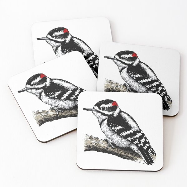 Item preview, Downy Woodpecker drawing designed and sold by Roberto Almeida.