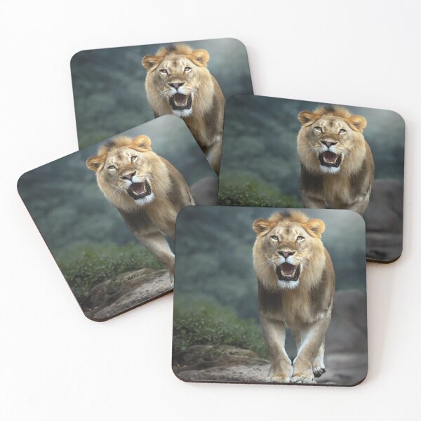 Item preview, Lioness designed and sold by Tom McPherson Photography.