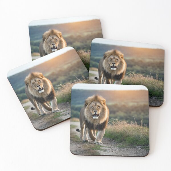 Item preview, Lion designed and sold by Tom McPherson Photography.