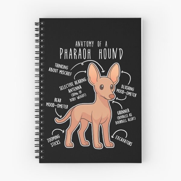Item preview, Pharaoh Hound Dog Anatomy designed and sold by Clara Hollins.