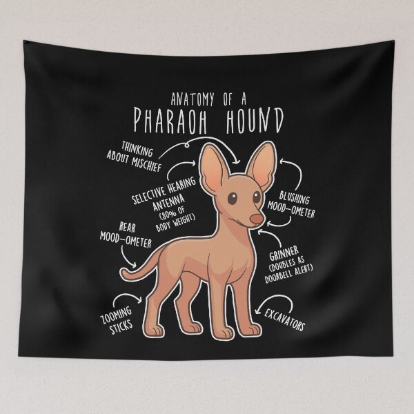 Item preview, Pharaoh Hound Dog Anatomy designed and sold by Clara Hollins.
