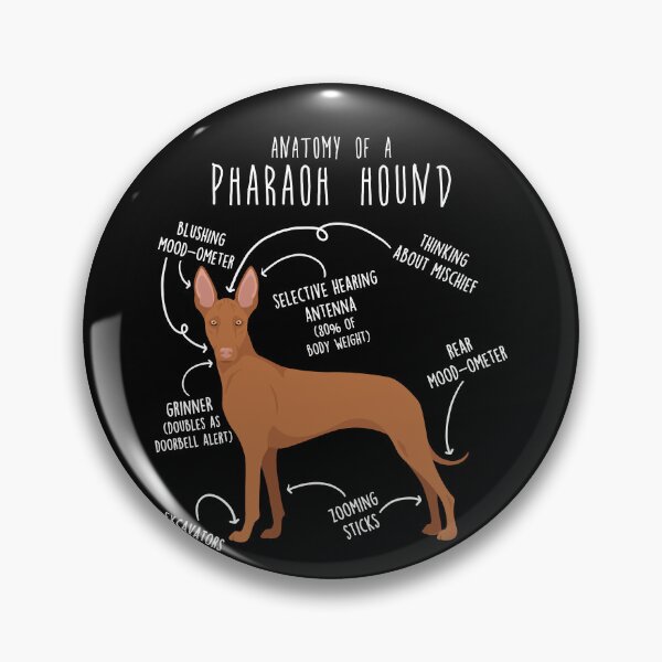 Item preview, Pharaoh Hound Dog Anatomy designed and sold by Clara Hollins.