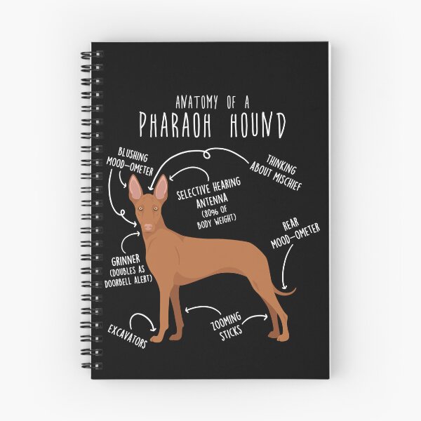 Item preview, Pharaoh Hound Dog Anatomy designed and sold by Clara Hollins.
