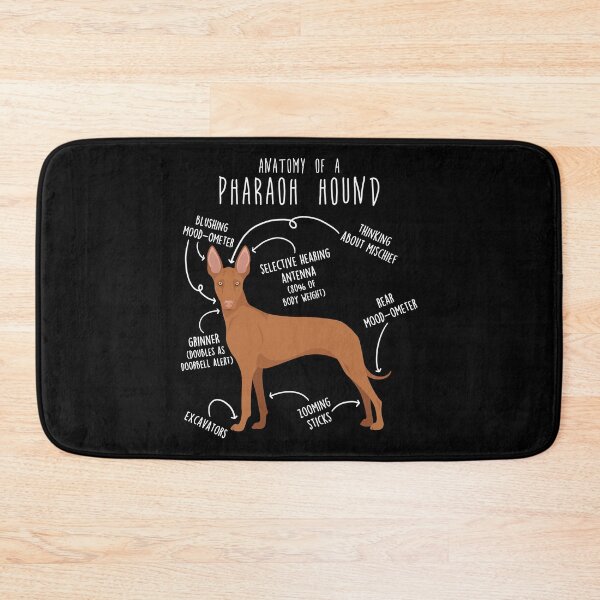 Item preview, Pharaoh Hound Dog Anatomy designed and sold by Clara Hollins.