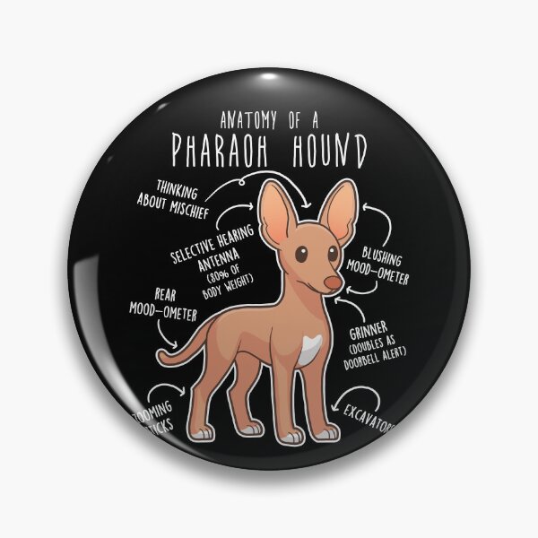 Item preview, Pharaoh Hound Dog Anatomy designed and sold by Clara Hollins.