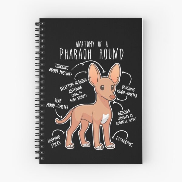 Item preview, Pharaoh Hound Dog Anatomy designed and sold by Clara Hollins.