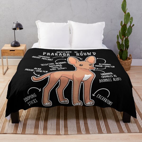 Item preview, Pharaoh Hound Dog Anatomy designed and sold by Clara Hollins.