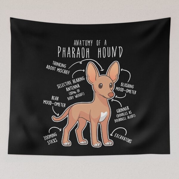 Item preview, Pharaoh Hound Dog Anatomy designed and sold by Clara Hollins.