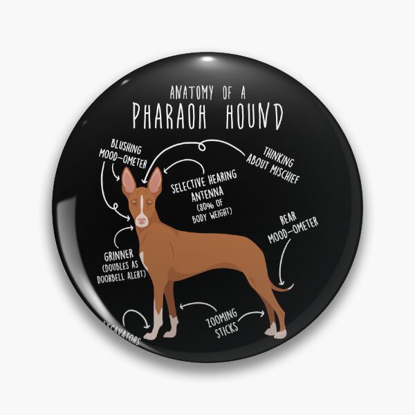 Item preview, Pharaoh Hound Dog Anatomy designed and sold by Clara Hollins.