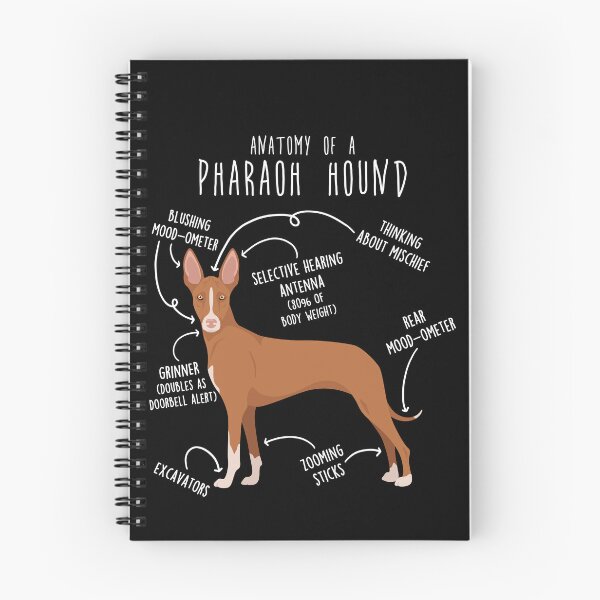 Item preview, Pharaoh Hound Dog Anatomy designed and sold by Clara Hollins.
