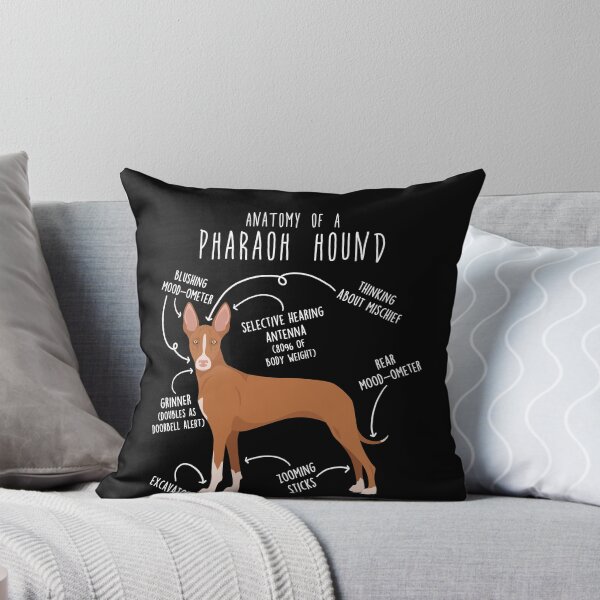 Item preview, Pharaoh Hound Dog Anatomy designed and sold by Clara Hollins.