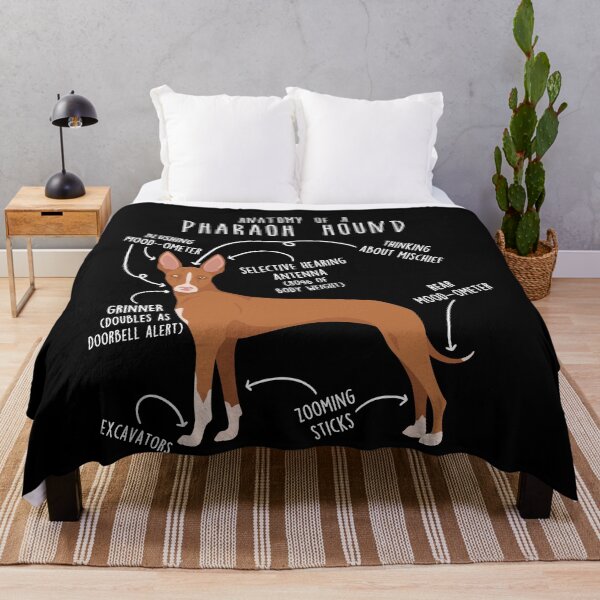 Item preview, Pharaoh Hound Dog Anatomy designed and sold by Clara Hollins.