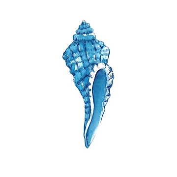 Artwork thumbnail, Shell by StressieCat