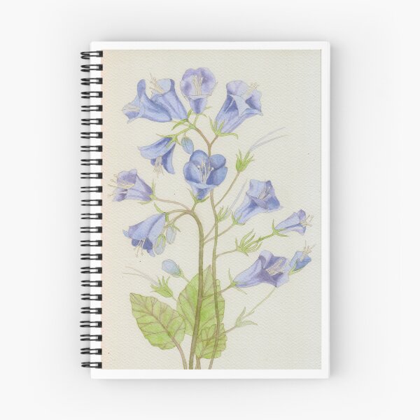 Item preview, California desert bluebells  designed and sold by esvb.