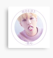 hoshi! Canvas Print