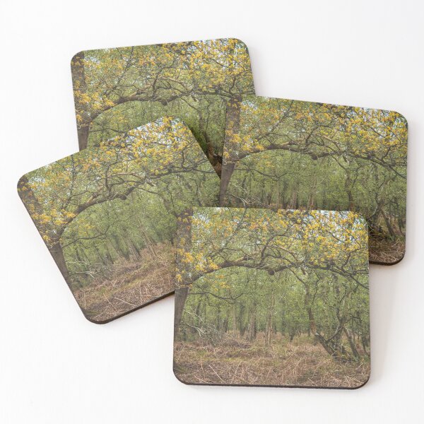 Item preview, Woodland Scene designed and sold by Chris Baitson.