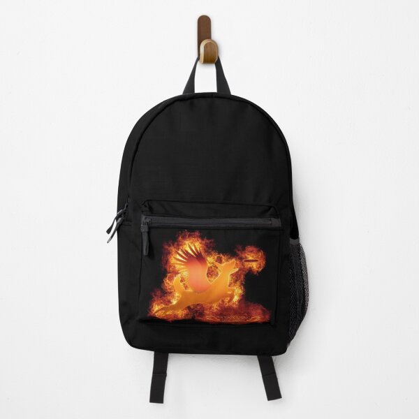 Item preview, Lake Villa Disc Dogs Logo (with flames) designed and sold by Franziska List.