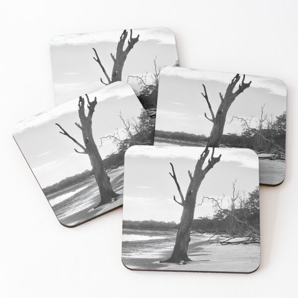 Item preview, Tree stump Dundowran Beach  designed and sold by Mark Grimsley.