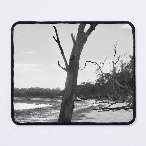 Item preview, Tree stump Dundowran Beach  designed and sold by Mark Grimsley.
