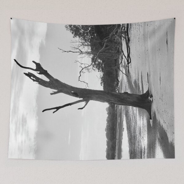 Item preview, Tree stump Dundowran Beach  designed and sold by Mark Grimsley.