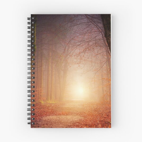 Item preview, forest clearing designed and sold by Prometheus2000.