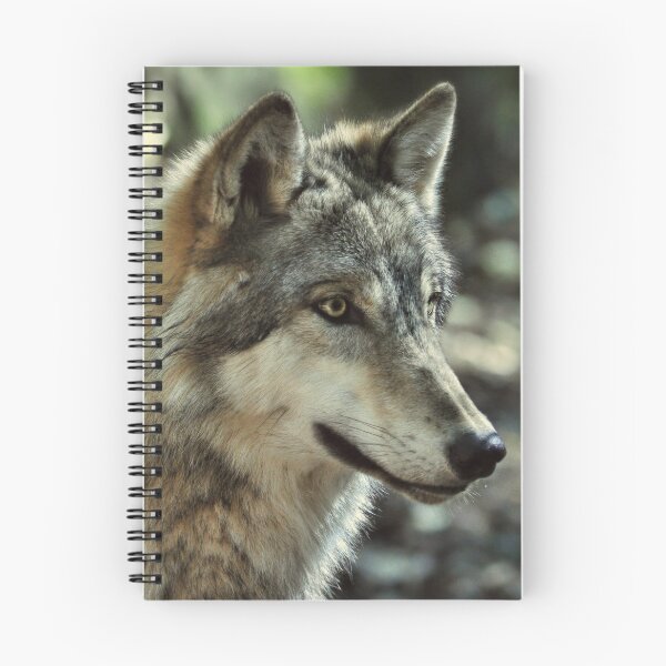 Item preview, Wolf Gaze designed and sold by Karen Peron.