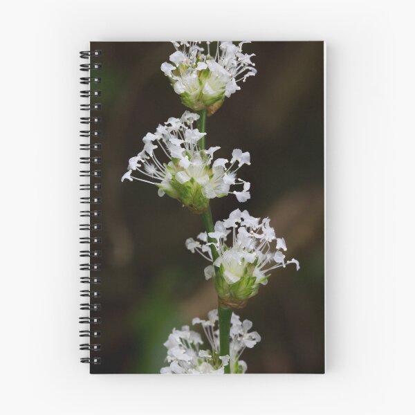 Item preview, A little herb designed and sold by AnnaKT.