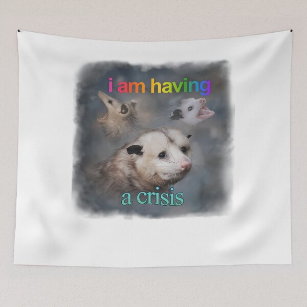Item preview, I Am Having A Crisis Possum Word Art designed and sold by wildaivelisse.