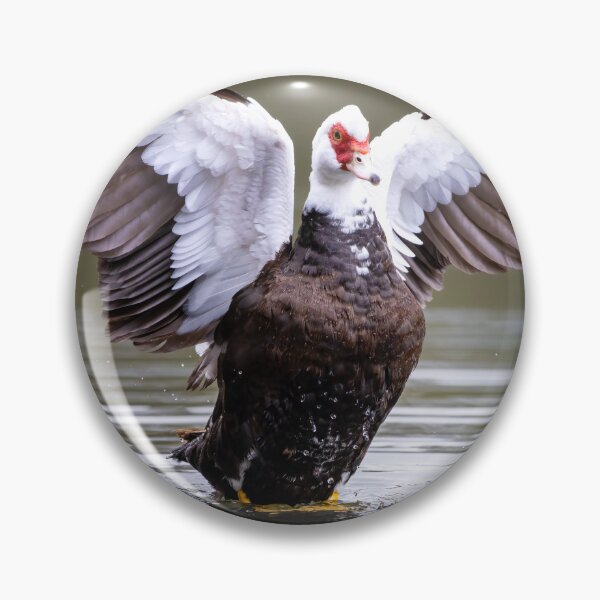 Item preview, Muscovy Duck in Australia designed and sold by Tara Smithson.