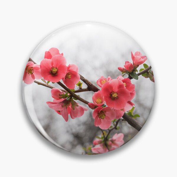 Item preview, Vibrant Pink Flowering Quince Celebrating Spring designed and sold by Georgia Mizuleva.