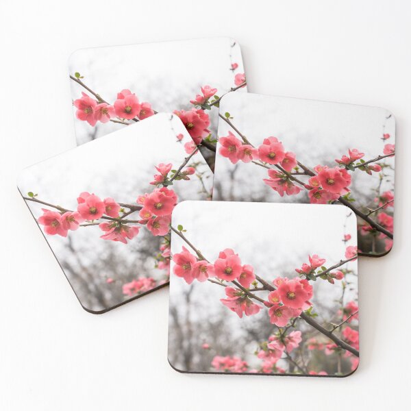 Item preview, Vibrant Pink Flowering Quince Celebrating Spring designed and sold by Georgia Mizuleva.