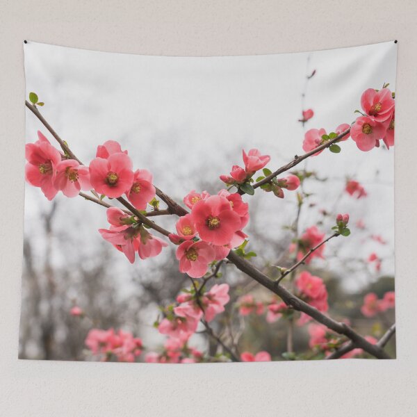 Item preview, Vibrant Pink Flowering Quince Celebrating Spring designed and sold by Georgia Mizuleva.