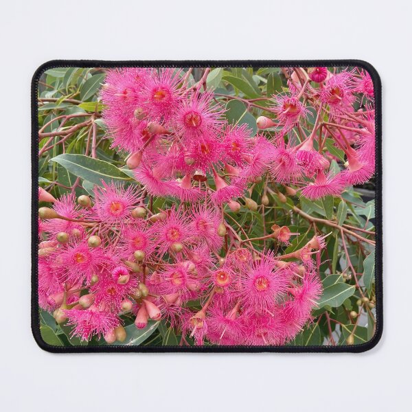 Item preview, Australian Flowering Gumtree designed and sold by Lofty72.