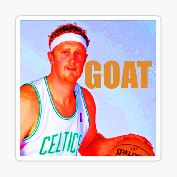 scalabrine celtics jersey