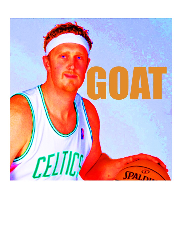 brian scalabrine celtics jersey for sale