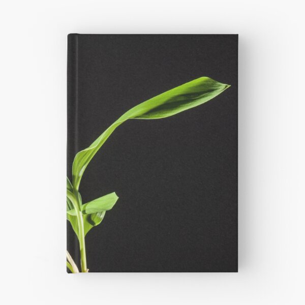 Item preview, lily of the valley designed and sold by Ingo Gerlach.