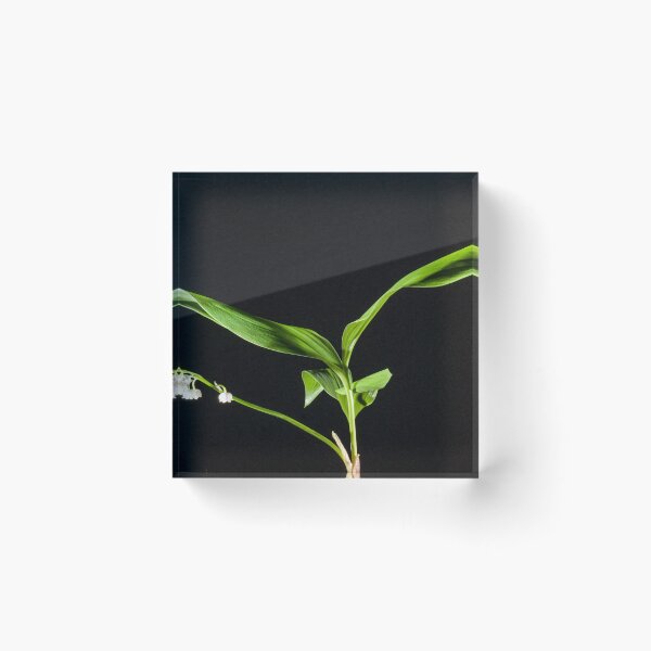 Item preview, lily of the valley designed and sold by Ingo Gerlach.