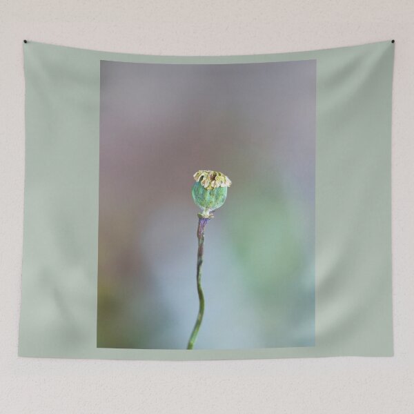Item preview, Poppy Seed Head designed and sold by Alisonchambers2.