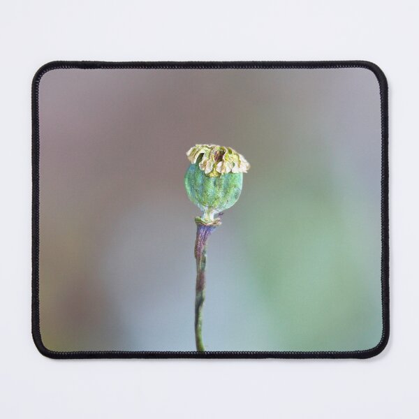 Item preview, Poppy Seed Head designed and sold by Alisonchambers2.