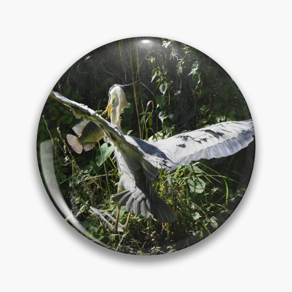 Item preview, Great Blue Heron In flight designed and sold by MercerImages.