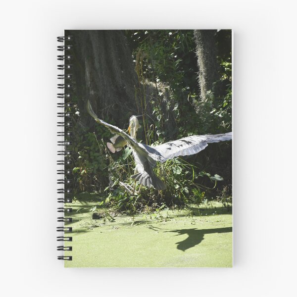 Item preview, Great Blue Heron In flight designed and sold by MercerImages.