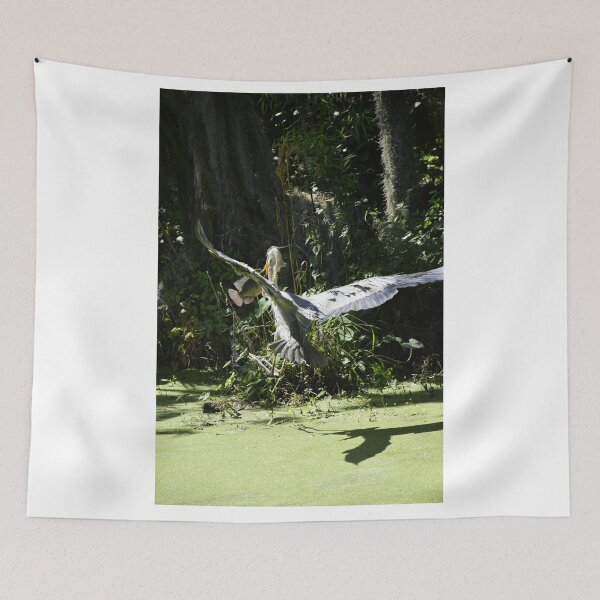 Item preview, Great Blue Heron In flight designed and sold by MercerImages.